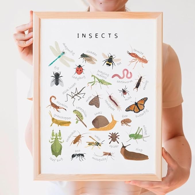 OZCONO Educational Insects Poster, Bugs Learning Chart Kids, Classroom Wall Decor Art, Montessori Homeschool Aid (Unframed) (24x36)