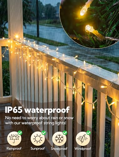 98FT 200 LED Warm White Christmas Fairy Twinkle String Lights Indoor (98 Foot)