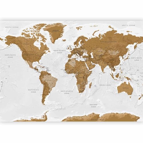 Wall Mural World Map 118x83 in (67.81 Sq Ft)