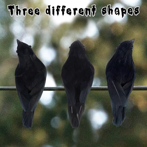 Halloween Birds (6 Count)