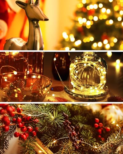 20 Pack Fairy Lights Battery Operated (20 Count)