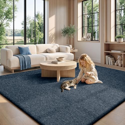 8x10 Area Rugs for Living Room Bedroom (80 Sq Ft)