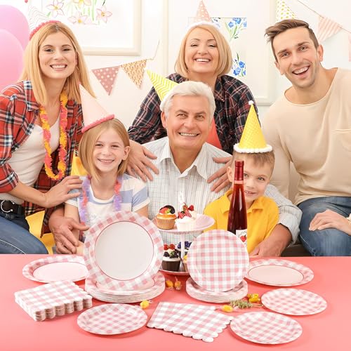 150 Pcs Pink Gingham Paper Plates and Napkins (150 Count)