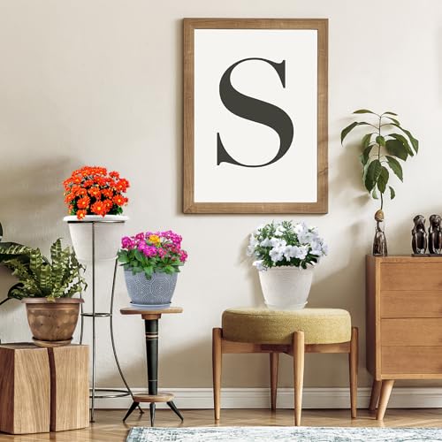 6 Inch Flower Pots Planters for Indoor Outdoor Plants