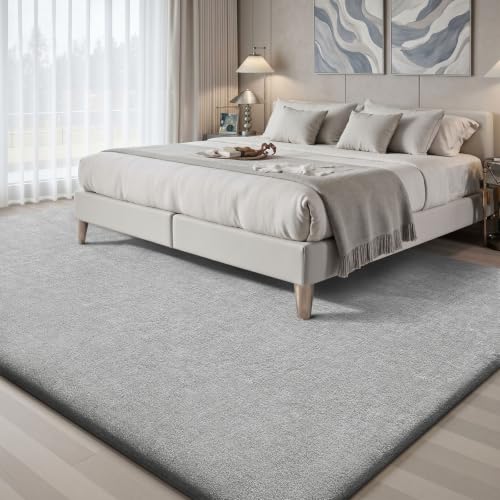 4x6 Area Rugs for Living Room Bedroom (24 Sq Ft)