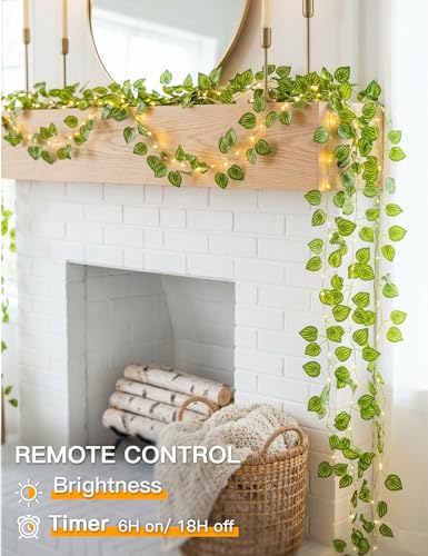 33FT Watermelon Vines with Lights Battery&USB Powered Copper Wire