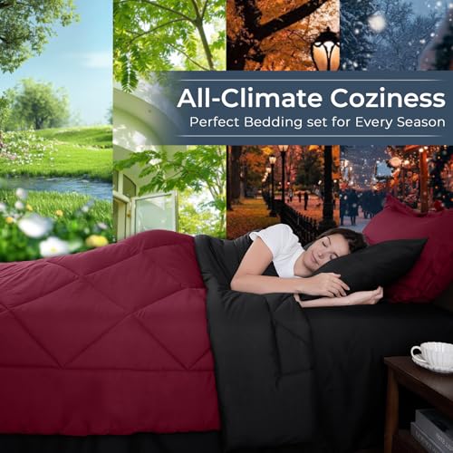 7 Piece Oversized Queen Comforter Set