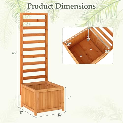 48" Raised Garden Bed with Trellis & Garden Box