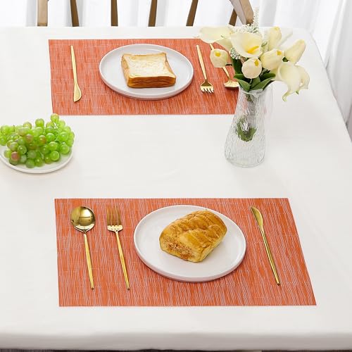 Orange Placemats Set of 4 (4 Count)