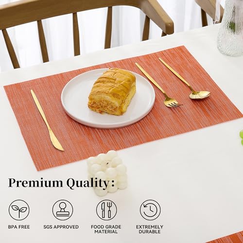 Orange Placemats Set of 4 (4 Count)