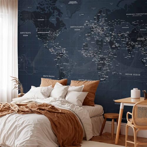 Wall Mural World Map 154x110 in (118.18 Sq Ft)