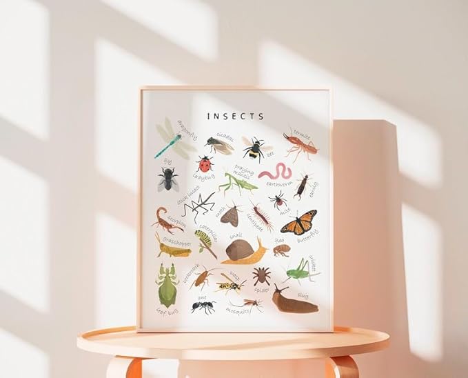 OZCONO Educational Insects Poster, Bugs Learning Chart Kids, Classroom Wall Decor Art, Montessori Homeschool Aid (Unframed) (16x24)