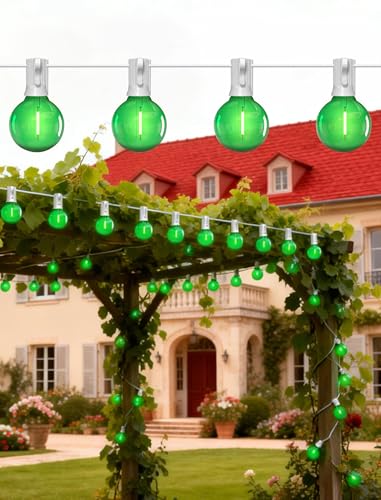 25Ft LED Outdoor String Lights with 12+1 Shatterproof Bulbs (25 Foot)