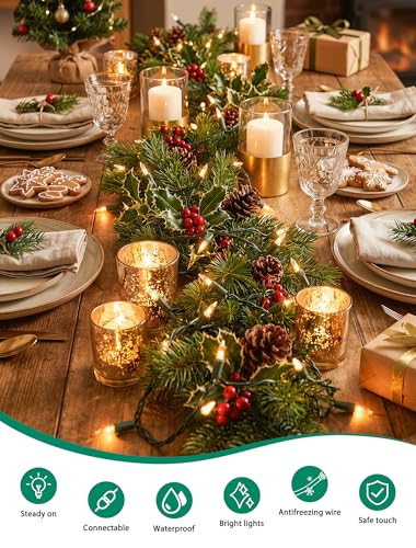 Clear Christmas Lights Outdoor Indoor (50 Count)