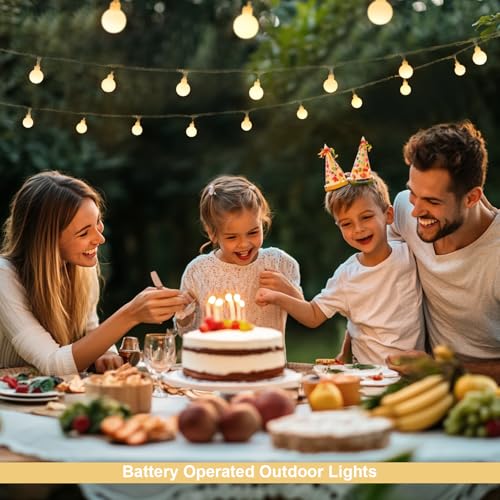 Warm White 100 LED Globe Battery Operated Christmas Lights Indoor
