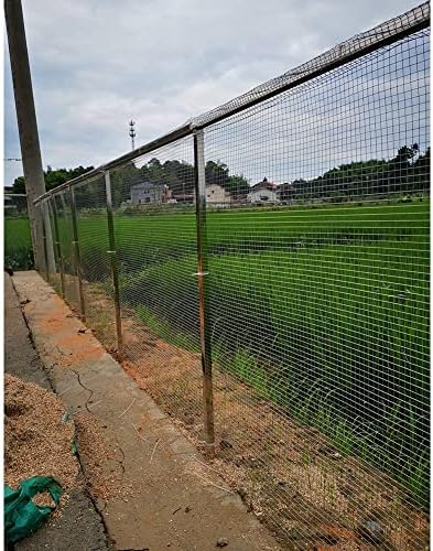 Heavy-Duty Stainless Steel Welded Wire Mesh for Chicken Coop & Poultry Fence, Durable Garden Cage Netting with Pliers, 0.8x7.6m Protection Mesh