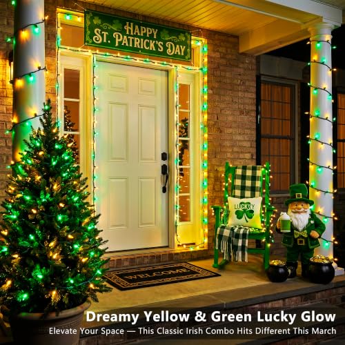 Christmas Lights (100 Count)