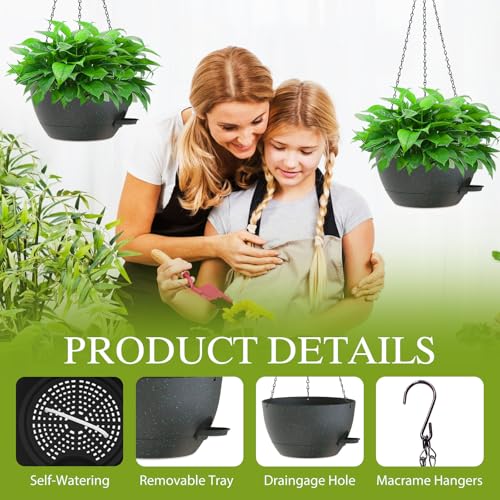 10 Inch Hanging Baskets 2 PC with Chains (2 Count)