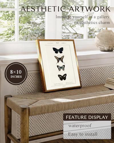 Vintage Four Butterfly Gold Framed Halloween Wall Art