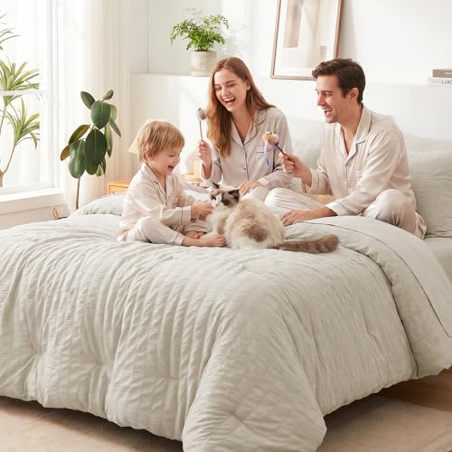 Queen Comforter Set