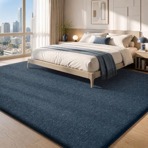 8x10 Area Rugs for Living Room Bedroom (80 Sq Ft)