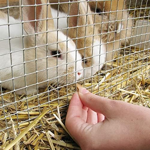 Heavy-Duty Stainless Steel Welded Wire Mesh for Chicken Wire Fence & Poultry Cage Netting (0.3 * 20m) - Durable, Versatile for Garden, Farm & DIY Projects with Pliers Included
