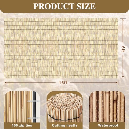 Reed Fencing Rolls (96 Sq Ft)