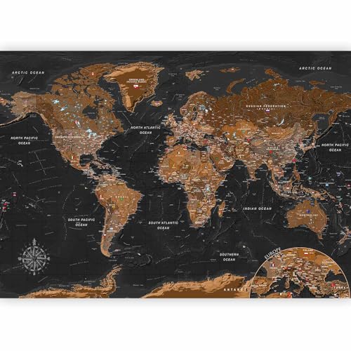 Wall Mural World Map 177x124 in (152.63 Sq Ft)