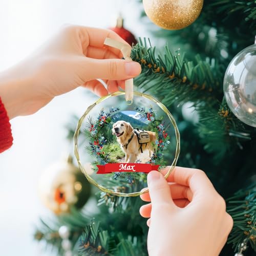 Personalized Pet Christmas Ornaments 2026
