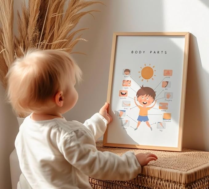 OZCONO Body Parts Poster for Kids Learning, Educational Classroom Wall Chart for Preschool, Toddler, Montessori Nursery Teaching Resource (Unframed) (16x24)