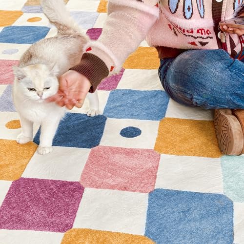 4ft Round Kids Rug Washable Playroom Rug Colorful Classroom Berries (12.57 Sq Ft)