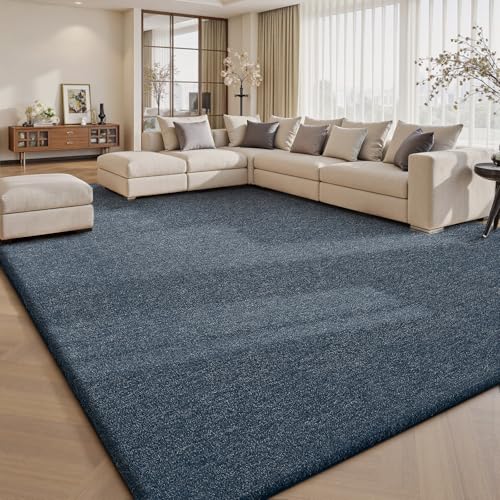 6x9 Area Rugs for Living Room Bedroom