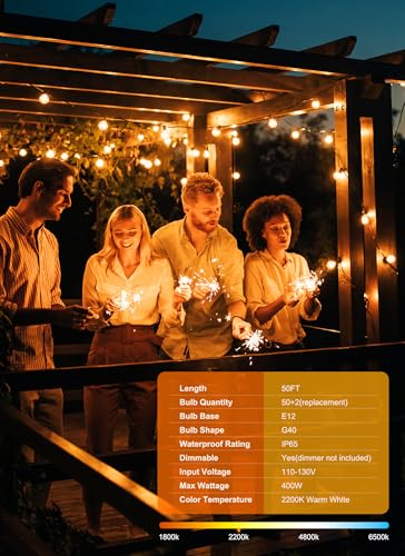Outdoor String Lights (50 Count)