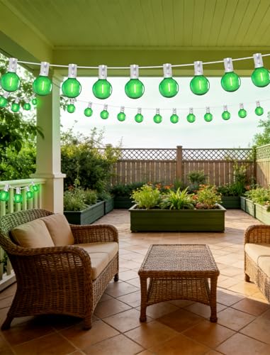 25Ft LED Outdoor String Lights with 12+1 Shatterproof Bulbs (25 Foot)