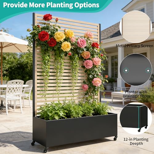 Metal Planter Box with Trellis Privacy Screen