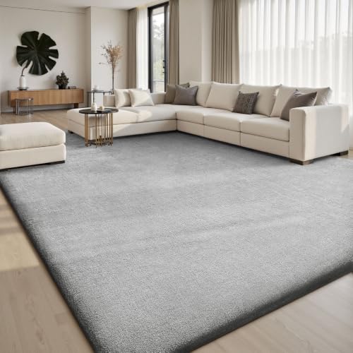 4x6 Area Rugs for Living Room Bedroom (24 Sq Ft)