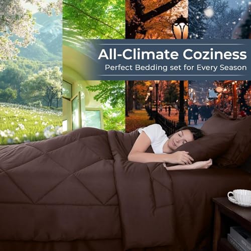 7 Piece Oversized Queen Comforter Set