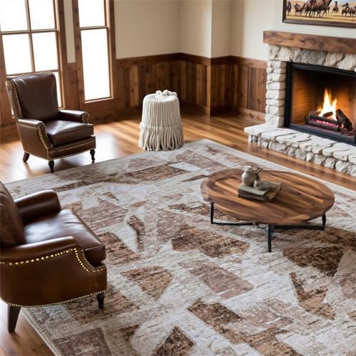 Brown 6X9 Area Rugs for Living Room Bedroom