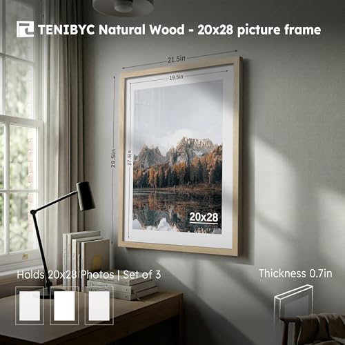 20x28 Picture Frame (3 Count)