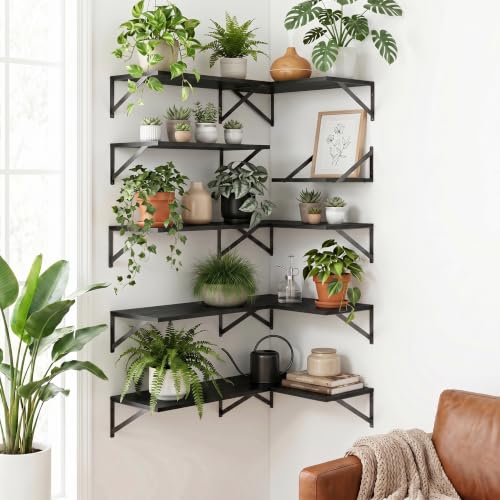 Black Floating Shelves 24 Inch Long