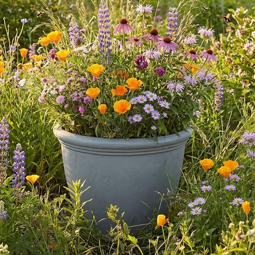 Sunnydaze Anjelica 24'' Large Plastic Planter Pot for Plants (2 Count)