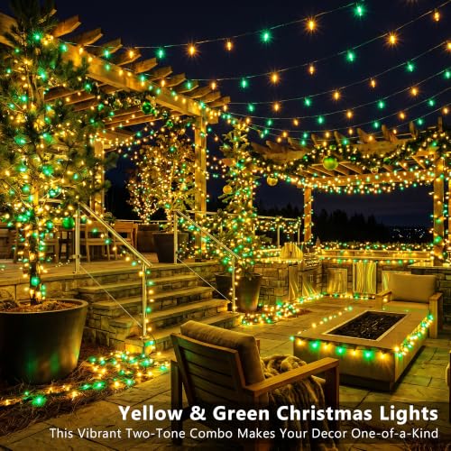 Christmas Lights (100 Count)