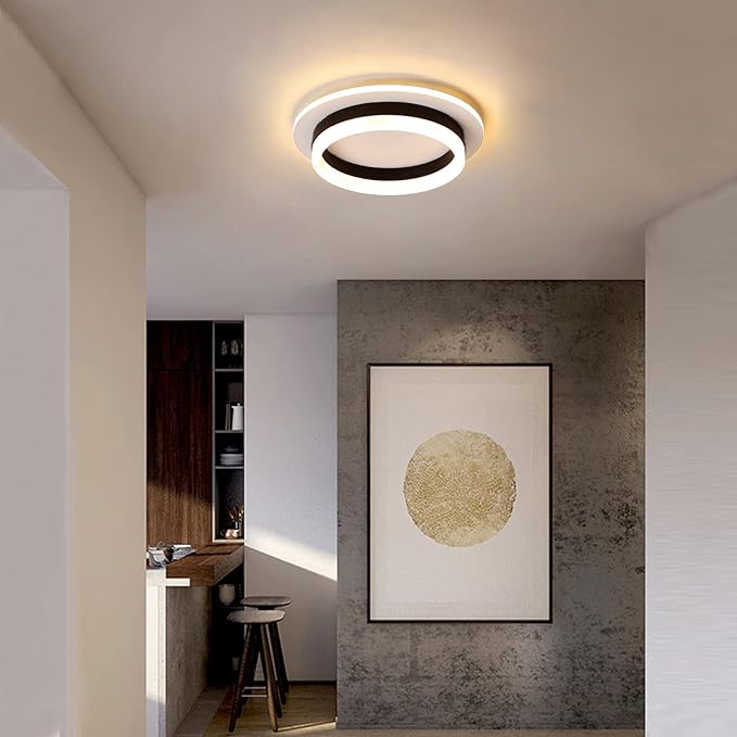 Round Modern LED Flush Mount Ceiling Lamp, 24W LED Light Fixture, Entryway