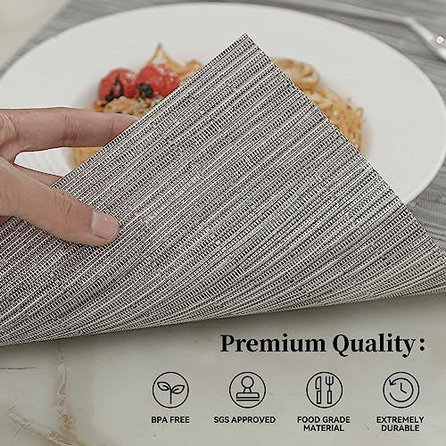 Silver Placemats Set of 4 (4 Count)