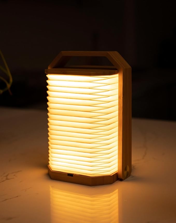 Portable Bamboo Lamp
