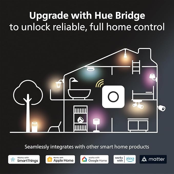 Philips Hue Go Smart Portable Table Lamp, 1 Pack, Smart LED Lamp