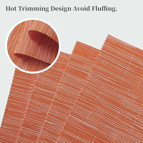 Orange Placemats Set of 4 (4 Count)