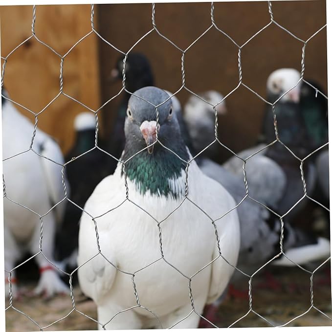 1Roll Heavy Duty Galvanized Chicken Netting Poultry Fencing Wire for Rabbit Cages Garden Enclosures Quick Setup Protection