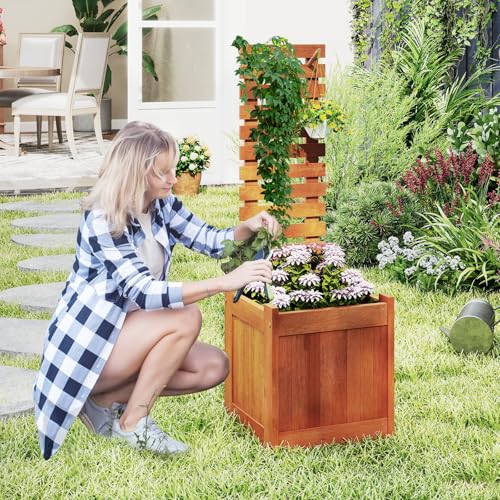 Raised Garden Bed with Trellis & Open (2 Count)