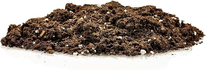 GARDENERA Citrus Tree Potting Soil Mix, Special Blend for Indoor Oranges, Lemons, Limes and More - (2 Quart Bag)